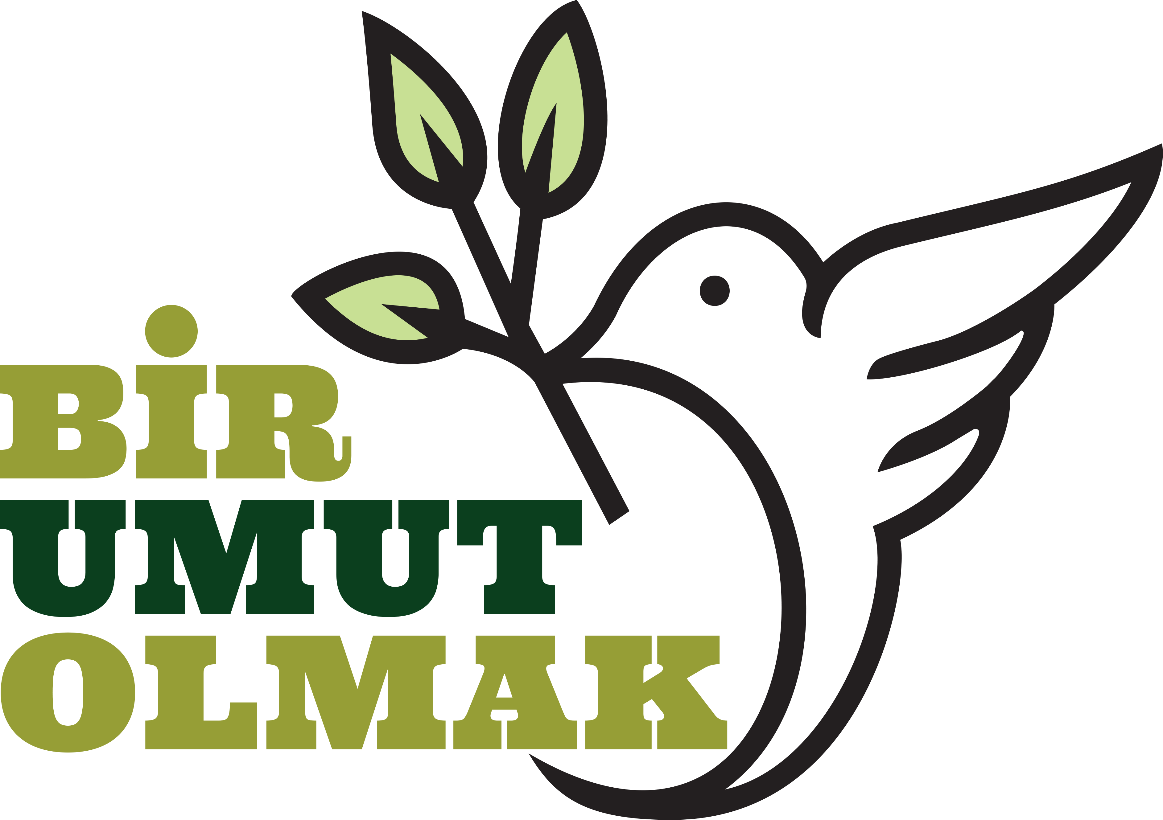 bir-umut-olmak-logo bir-umut-olmak-logo